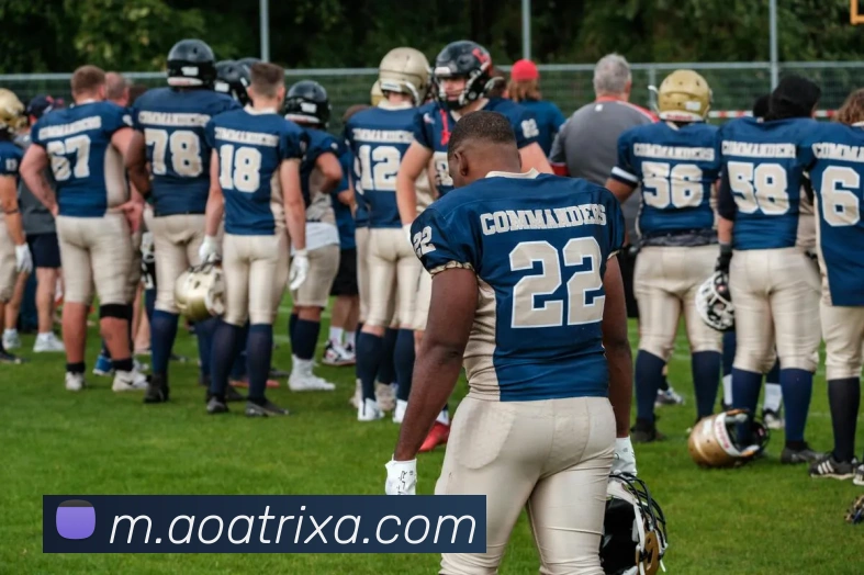 AOA体育平台生态图