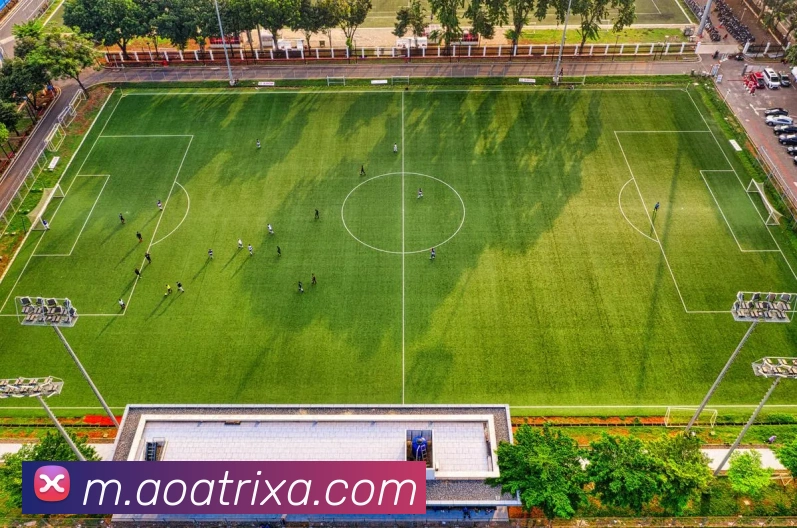 AOA体育APP 封面图